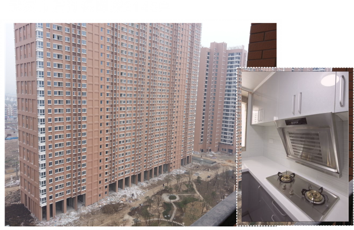 2013年承接了武汉市首保障房项目--后湖惠康居2145户